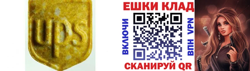 ЭКСТАЗИ Punisher Котовск