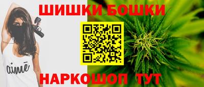 хмурый Бийск