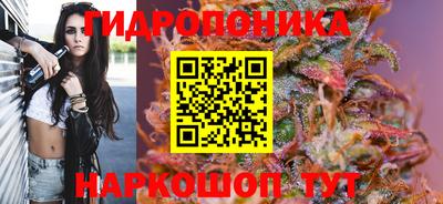 хмурый Берёзовский