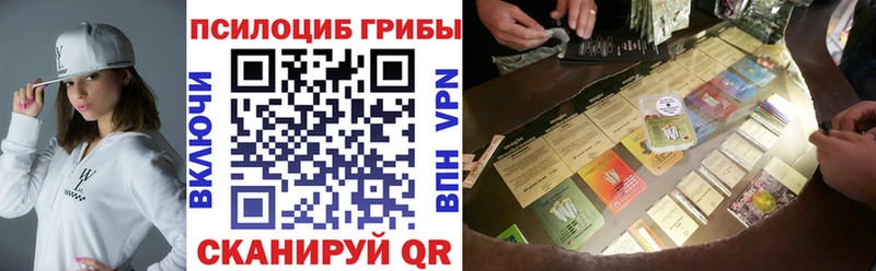 Галлюциногенные грибы MAGIC MUSHROOMS  shop клад  Котовск  купить наркотики цена 