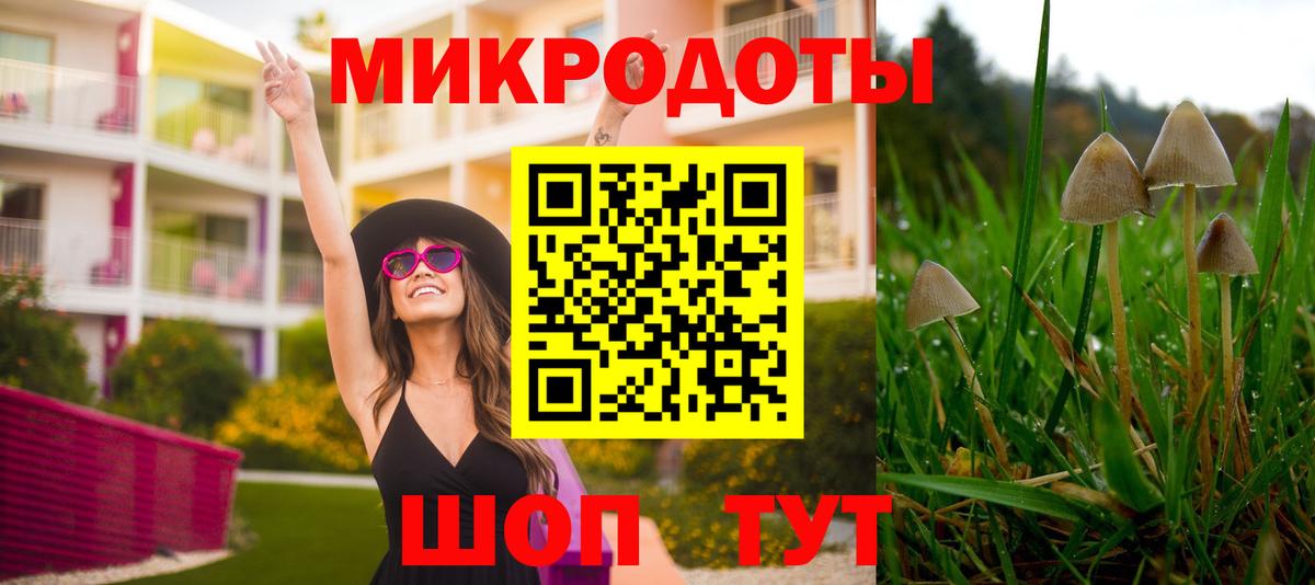 Псилоцибиновые грибы Psilocybe  Вход с VPN  Котовск  Псилоцибиновые грибы мухоморы 