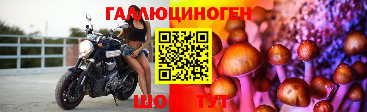 Галлюциногенные грибы Magic Shrooms Котовск
